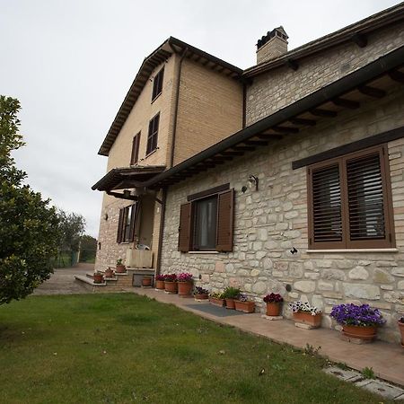 Assisana Affittacamere Santa Maria Degli Angeli  Dış mekan fotoğraf
