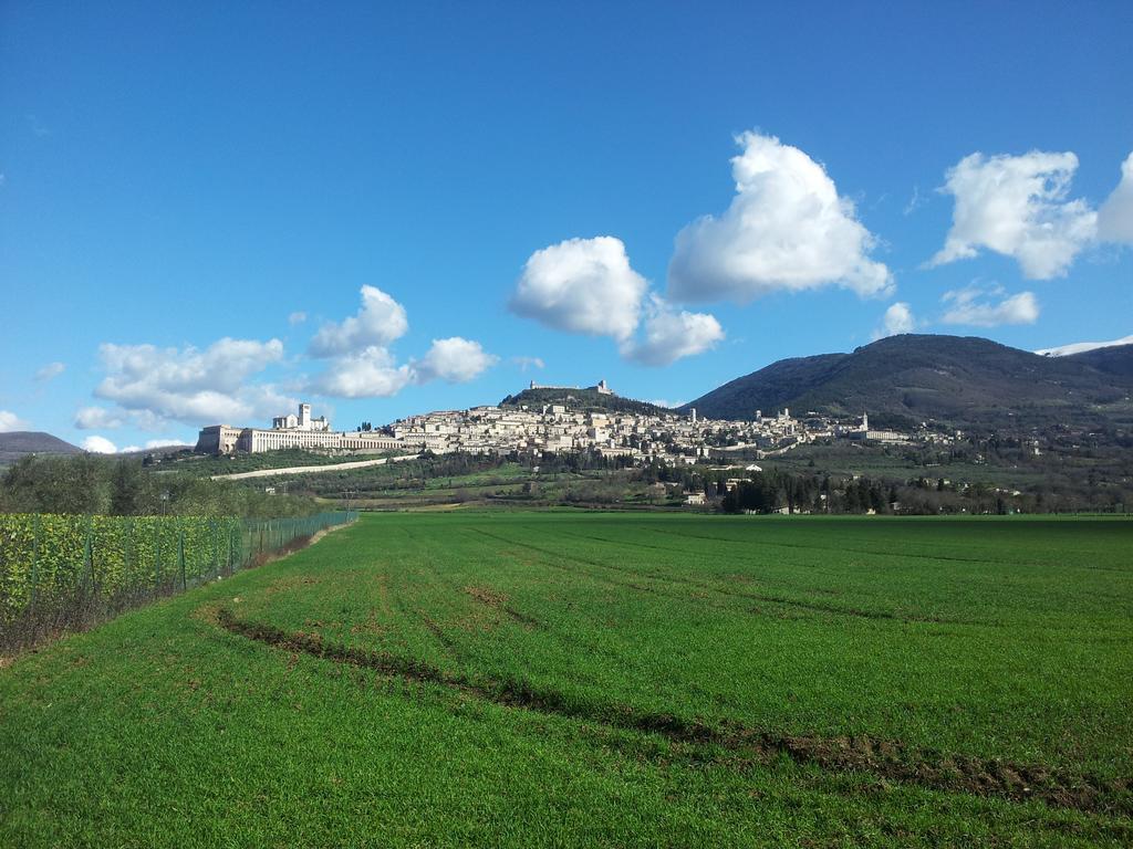 Assisana Affittacamere Santa Maria Degli Angeli  Dış mekan fotoğraf